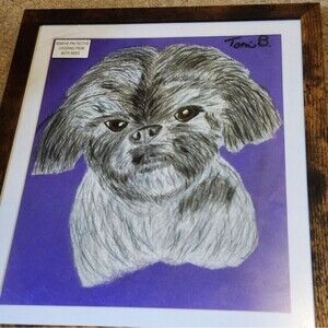 Hand Crafted Shih-Tzu Dog Colored Pencil Drawing Framed 9x11"